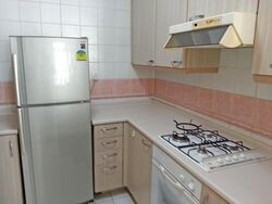 Oleander Towers (D12), Apartment #504375351